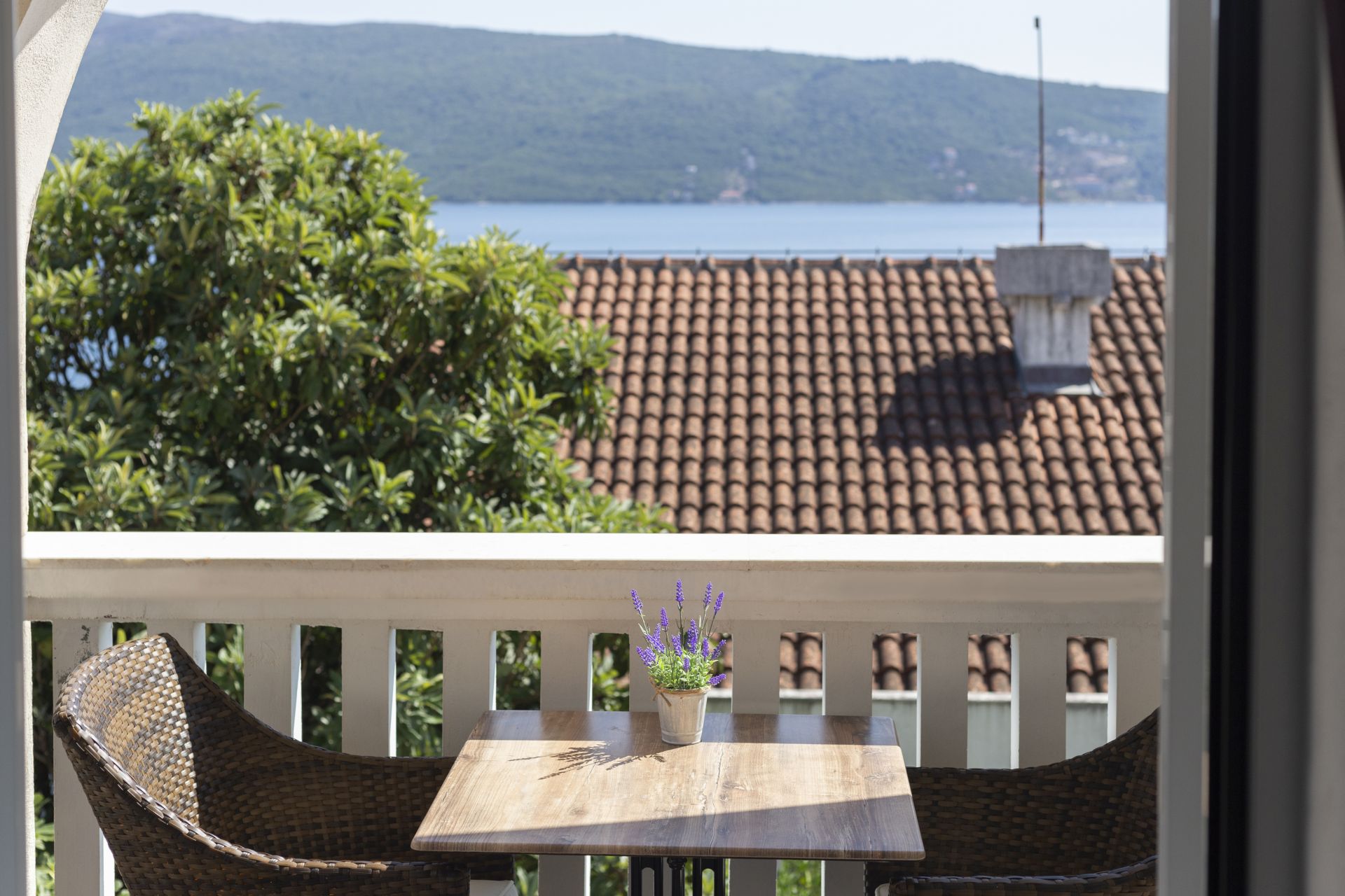 You are currently viewing Aktuelnost 2